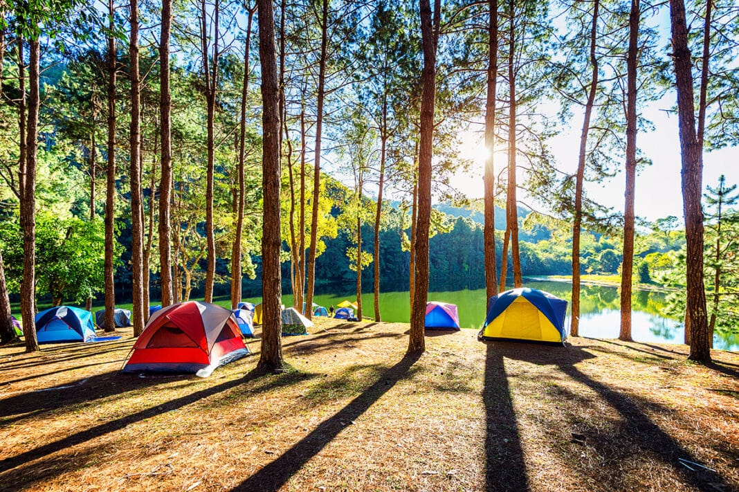 Camping enthusiasts unite: Discover the top campsites in the country for your perfect outdoor adventure!